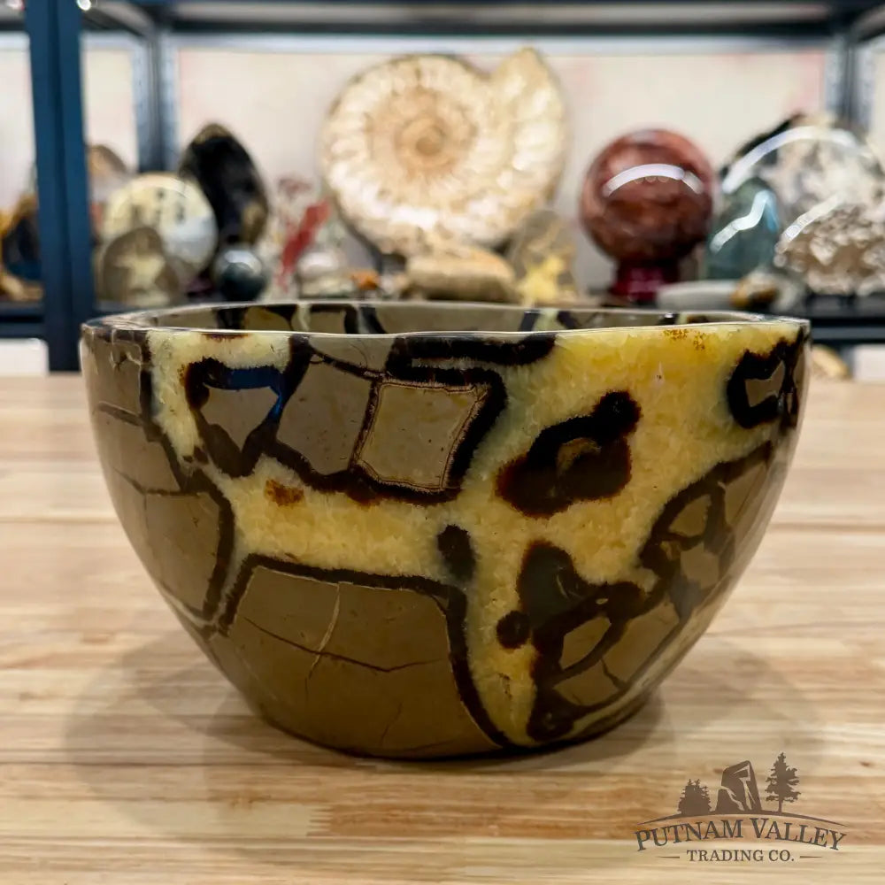 Reserve Madagascar Handcrafted Septarian Statement Bowl 9’’ | 14.14lb - Bowl