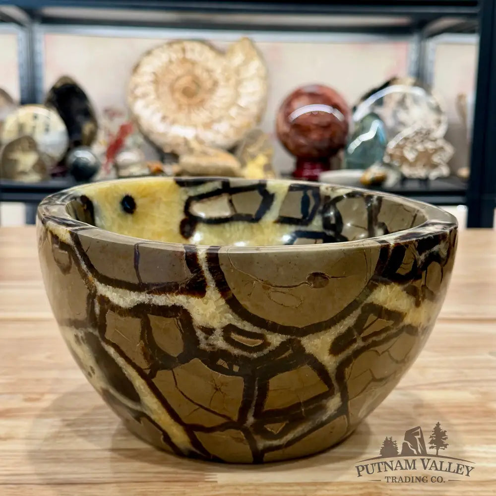 Reserve Madagascar Handcrafted Septarian Statement Bowl 9’’ | 14.14lb - Bowl