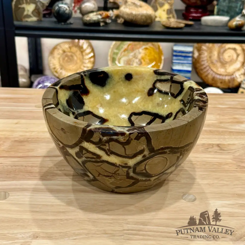 Reserve Madagascar Handcrafted Septarian Statement Bowl 9’’ | 14.14lb - Bowl