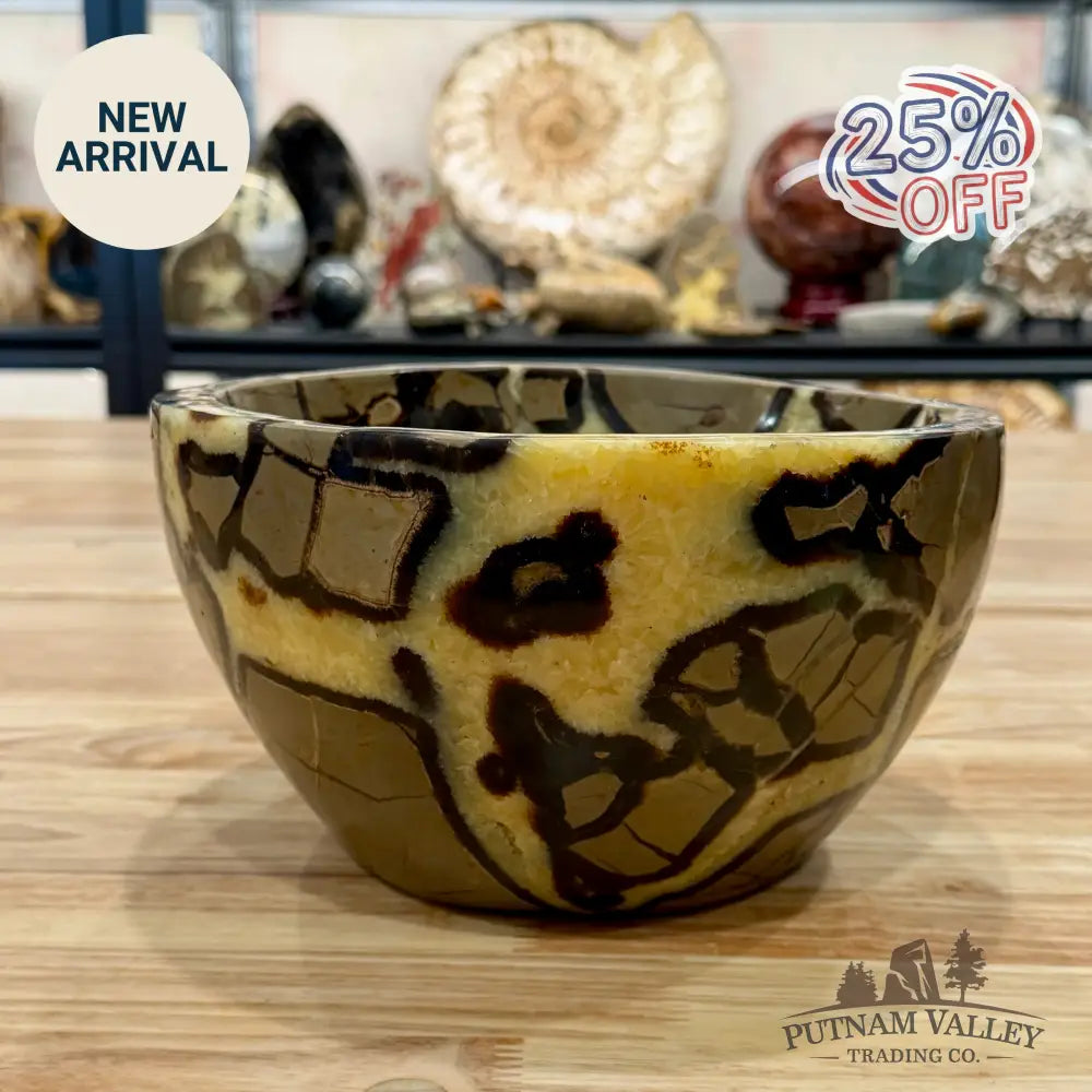 Reserve Madagascar Handcrafted Septarian Statement Bowl 9’’ | 14.14lb - Bowl