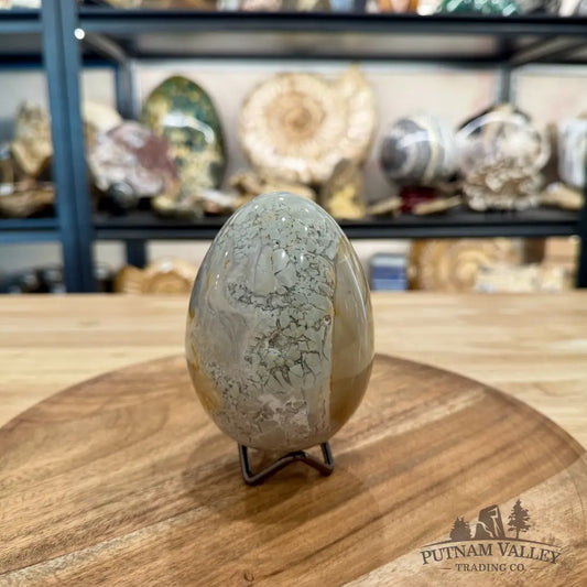 Reserve Madagascar Ibis Jasper Egg 4.22’’ - Sphere