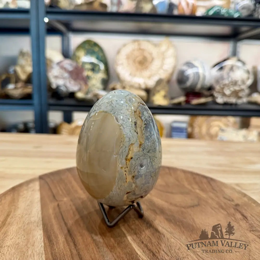 Reserve Madagascar Ibis Jasper Egg 4.22’’ - Sphere