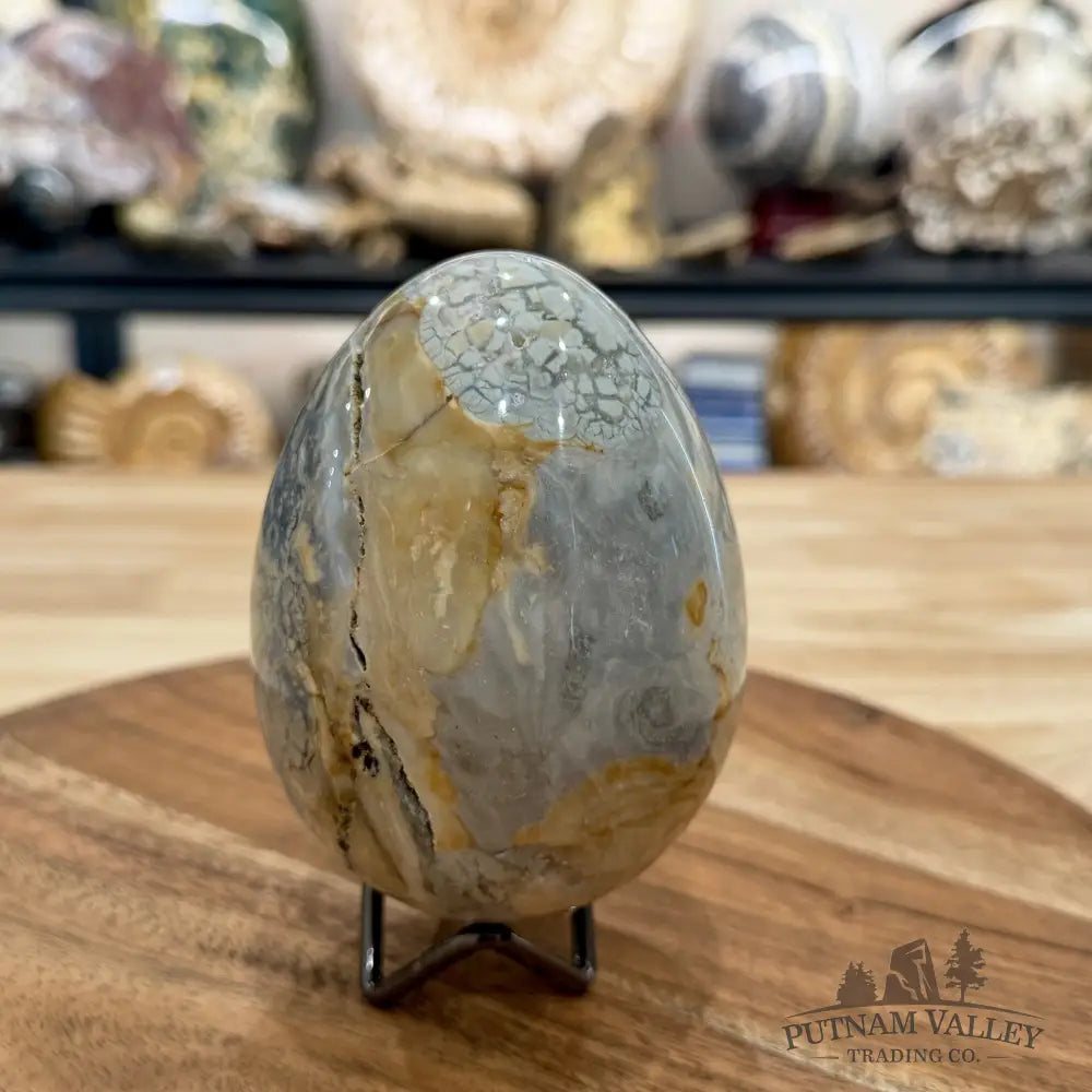 Reserve Madagascar Ibis Jasper Egg 4.22’’ - Sphere