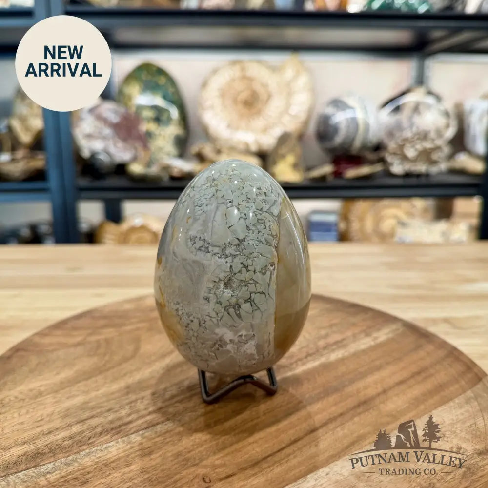 Reserve Madagascar Ibis Jasper Egg 4.22’’ - Sphere