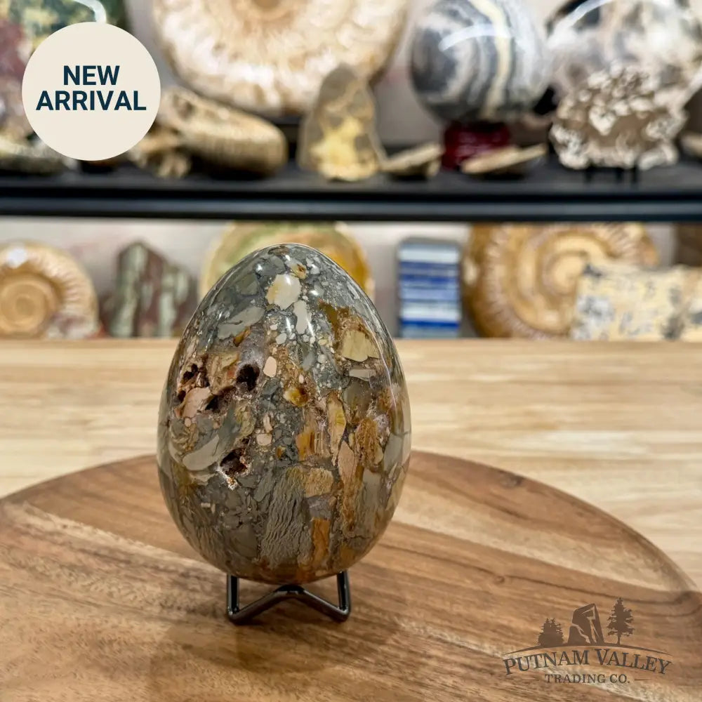 Reserve Madagascar Ibis Jasper Egg 4.27’’ - Sphere