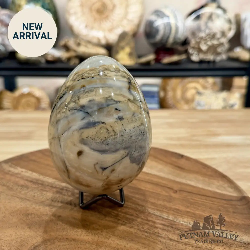 Reserve Madagascar Ibis Jasper Egg 4.57’’ - Sphere
