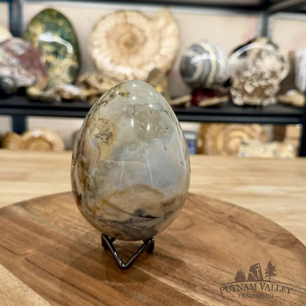 Reserve Madagascar Ibis Jasper Egg 4.57’’ - Sphere