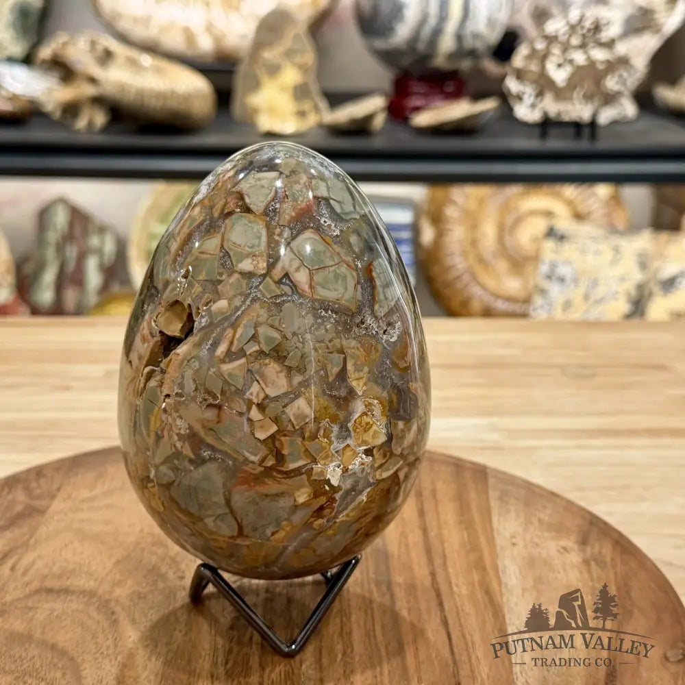 Reserve Madagascar Ibis Jasper Egg 5.45’’ - Sphere