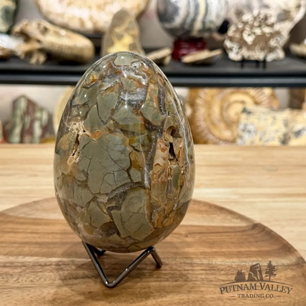 Reserve Madagascar Ibis Jasper Egg 5.45’’ - Sphere