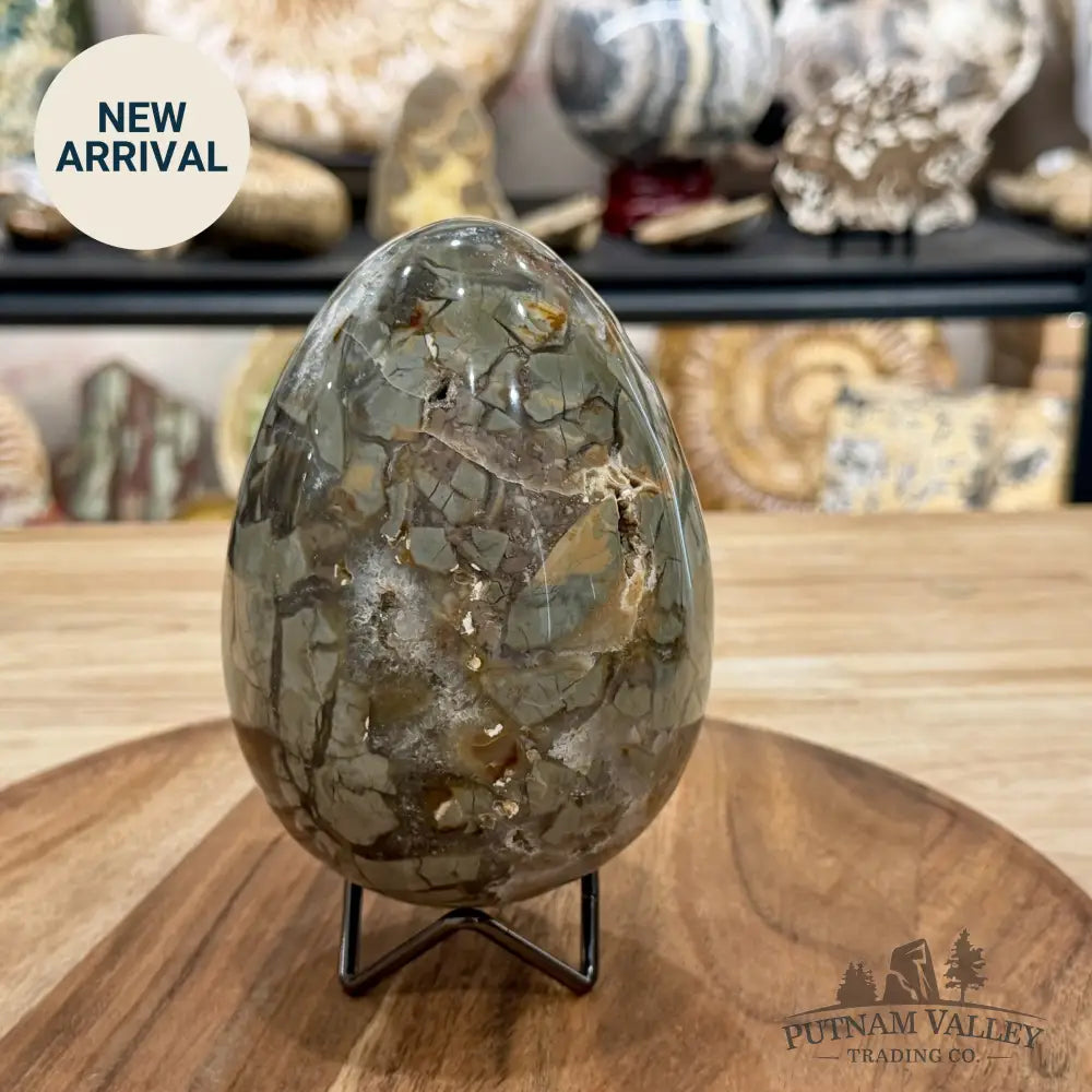 Reserve Madagascar Ibis Jasper Egg 5.45’’ - Sphere