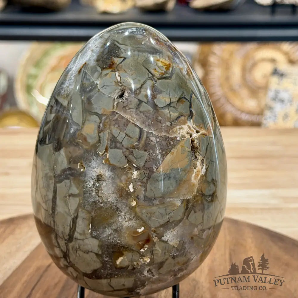 Reserve Madagascar Ibis Jasper Egg 5.45’’ - Sphere