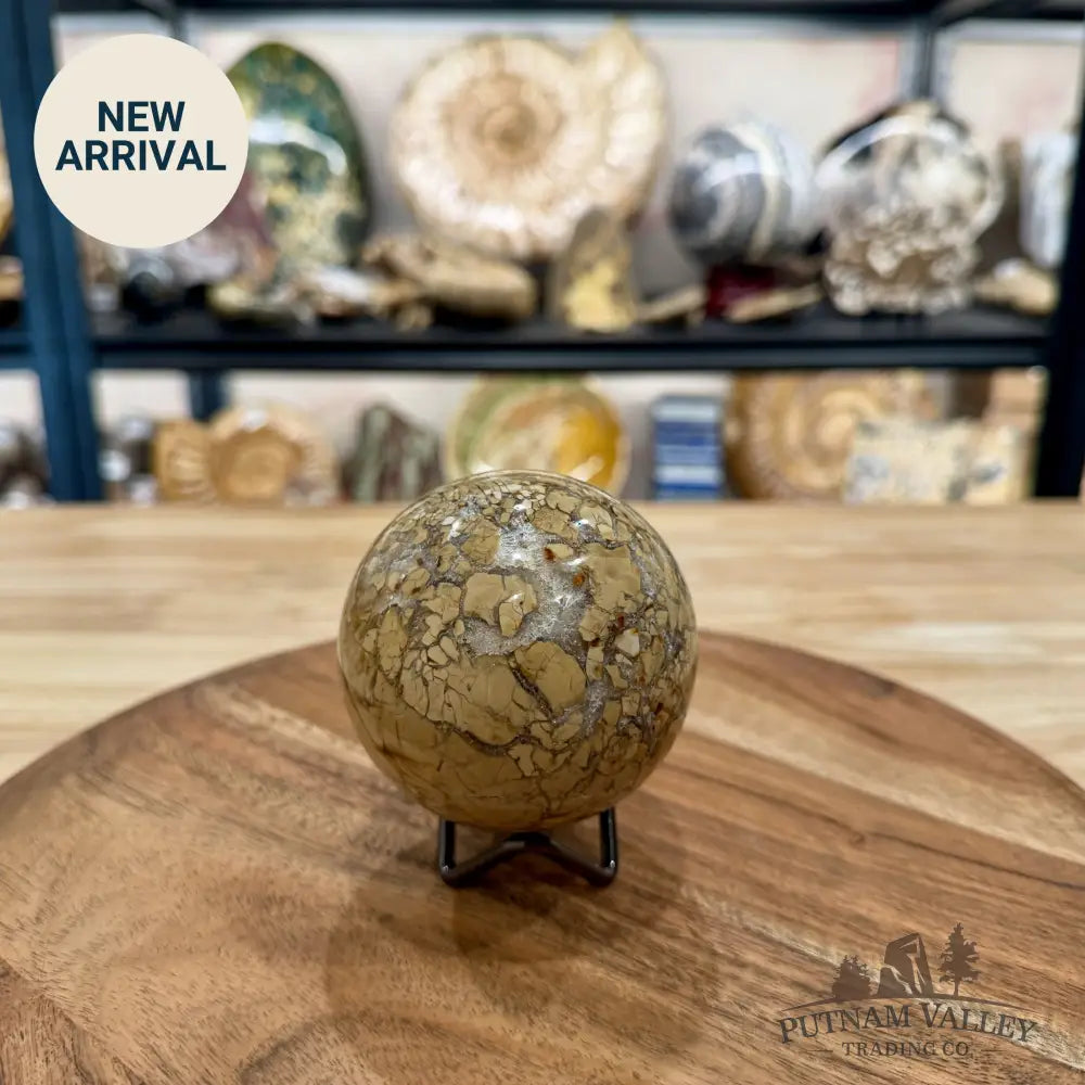 Reserve Madagascar Ibis Jasper Sphere 3.08’’ - Sphere