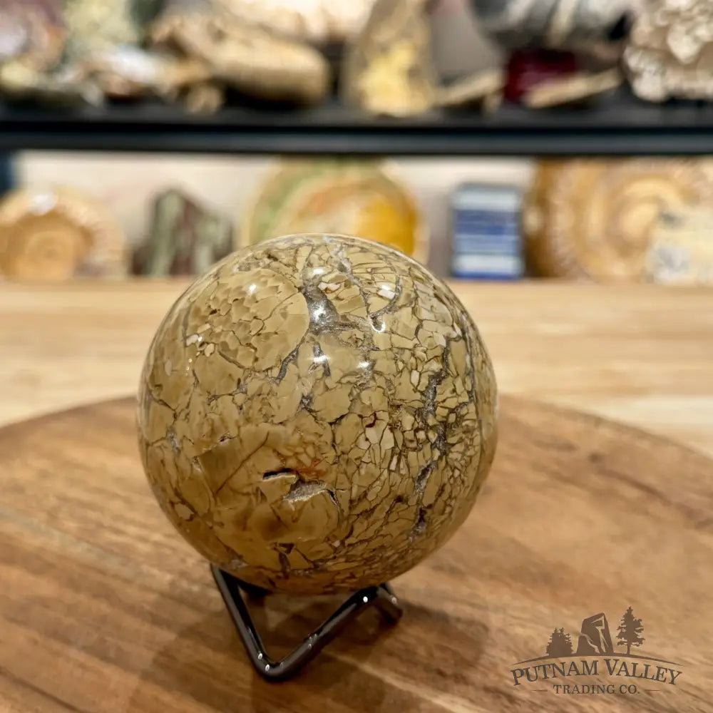 Reserve Madagascar Ibis Jasper Sphere 3.08’’ - Sphere