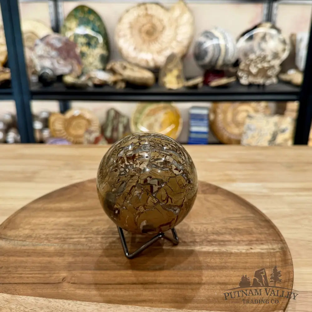 Reserve Madagascar Ibis Jasper Sphere 3.51’’ - Sphere
