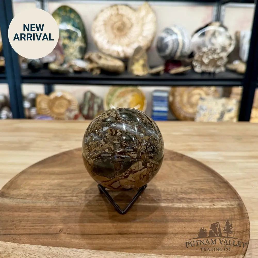 Reserve Madagascar Ibis Jasper Sphere 3.51’’ - Sphere