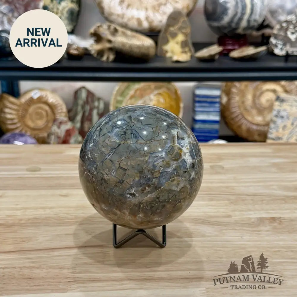 Reserve Madagascar Ibis Jasper Sphere 4.64’’ - Sphere