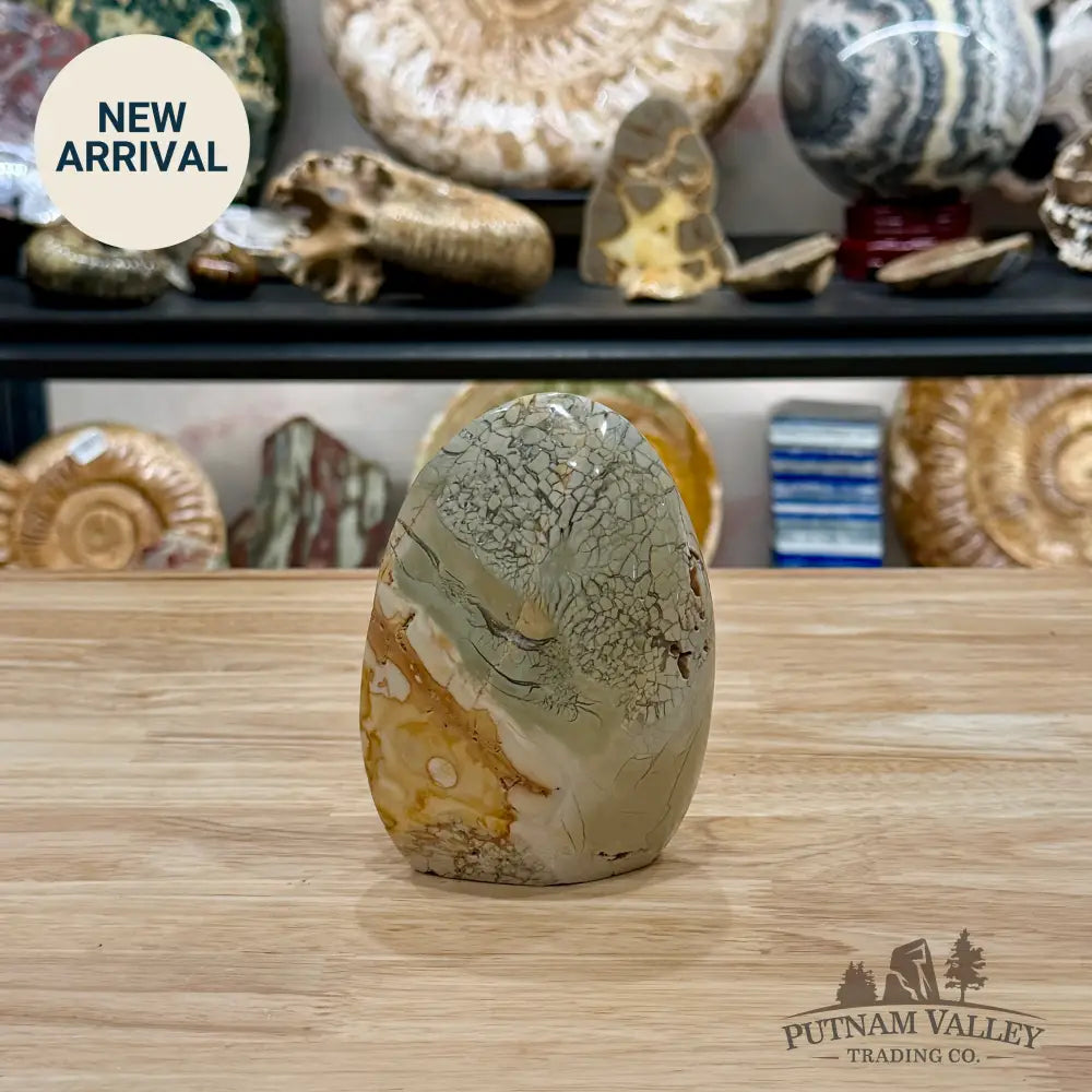 Reserve Madagascar Ibis Jasper Table Accent 4.73’’ - Free Standing Accent