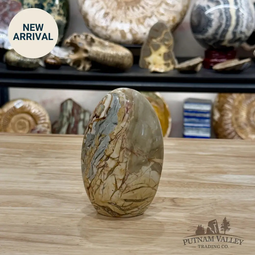 Reserve Madagascar Ibis Jasper Table Accent 5’’ - Free Standing Accent