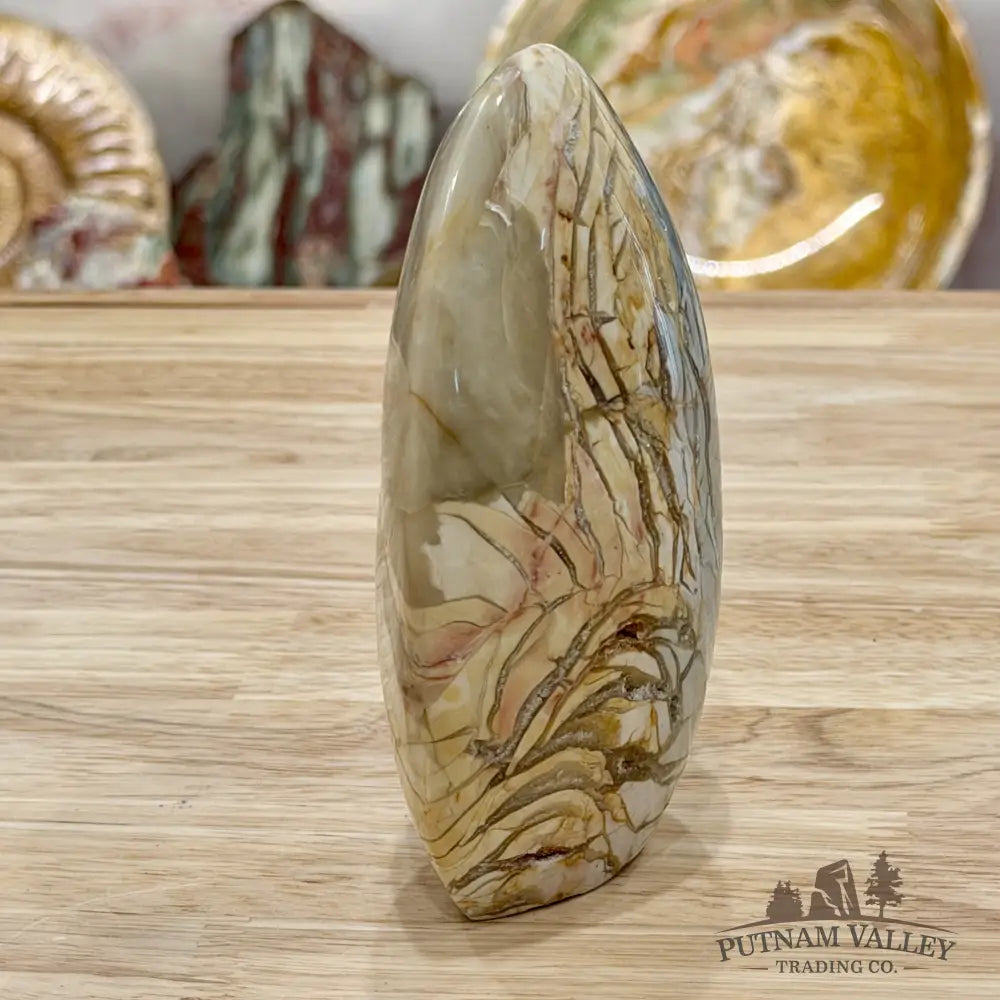 Reserve Madagascar Ibis Jasper Table Accent 5’’ - Free Standing Accent