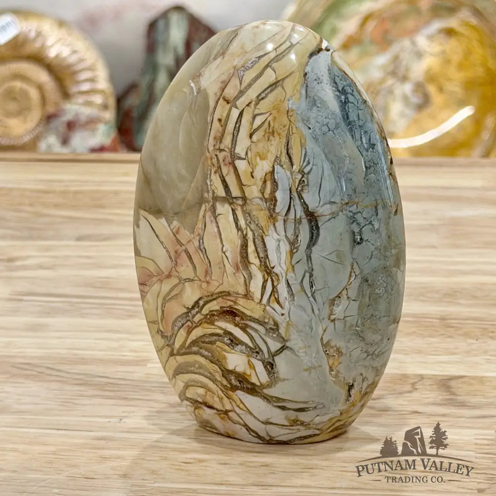 Reserve Madagascar Ibis Jasper Table Accent 5’’ - Free Standing Accent