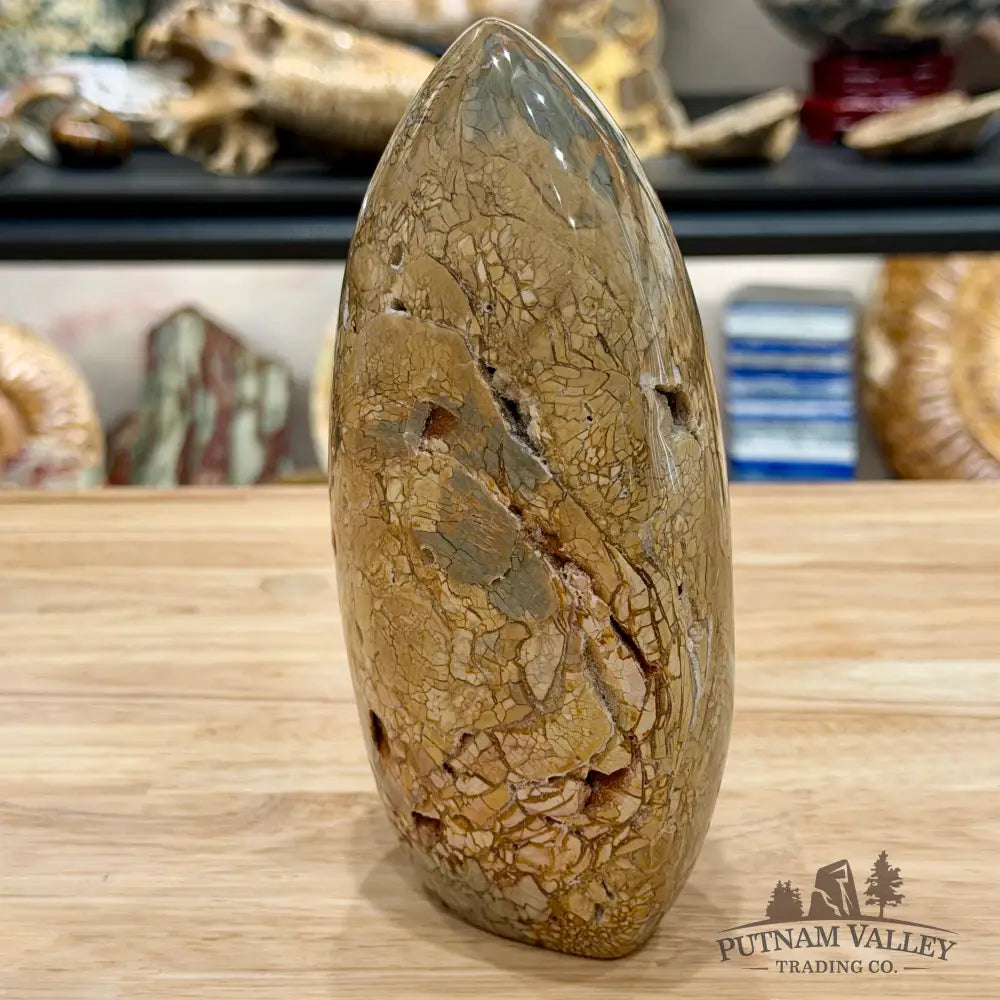 Reserve Madagascar Ibis Jasper Table Accent 6.72’’ - Free Standing Accent