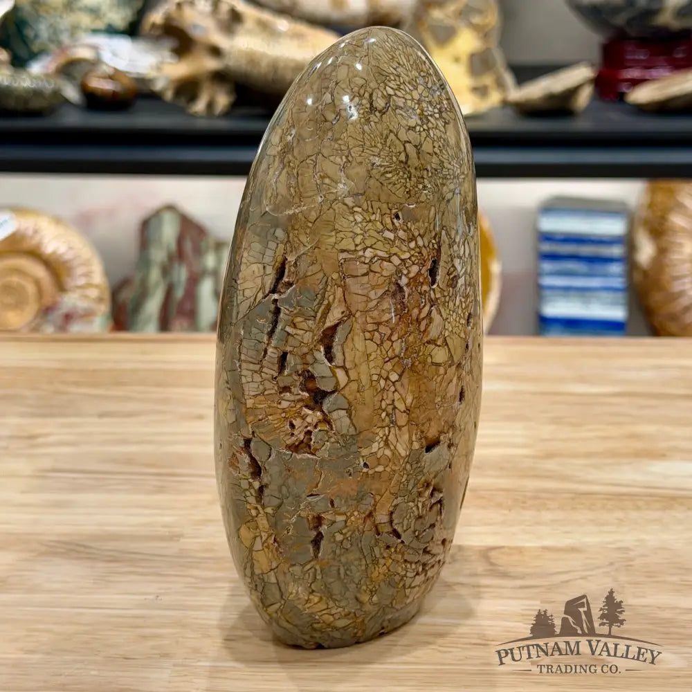Reserve Madagascar Ibis Jasper Table Accent 6.72’’ - Free Standing Accent