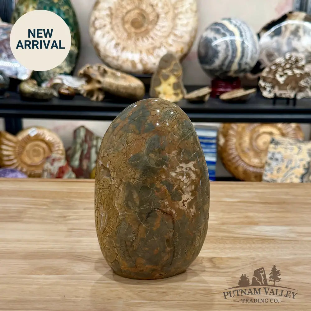 Reserve Madagascar Ibis Jasper Table Accent 6.72’’ - Free Standing Accent