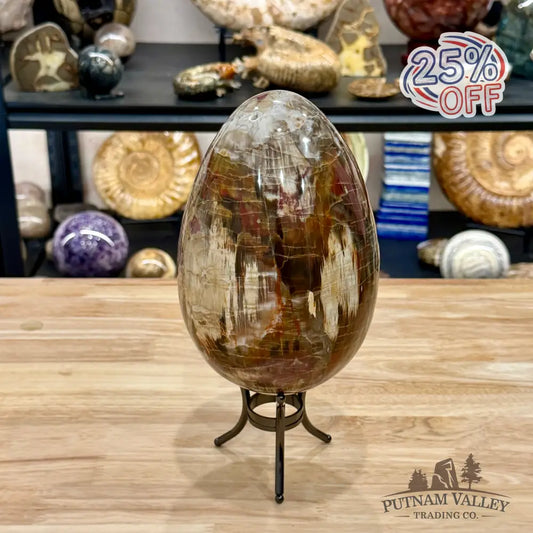 Reserve Madagascar Petrified Wood Egg 7.8’’ - Egg