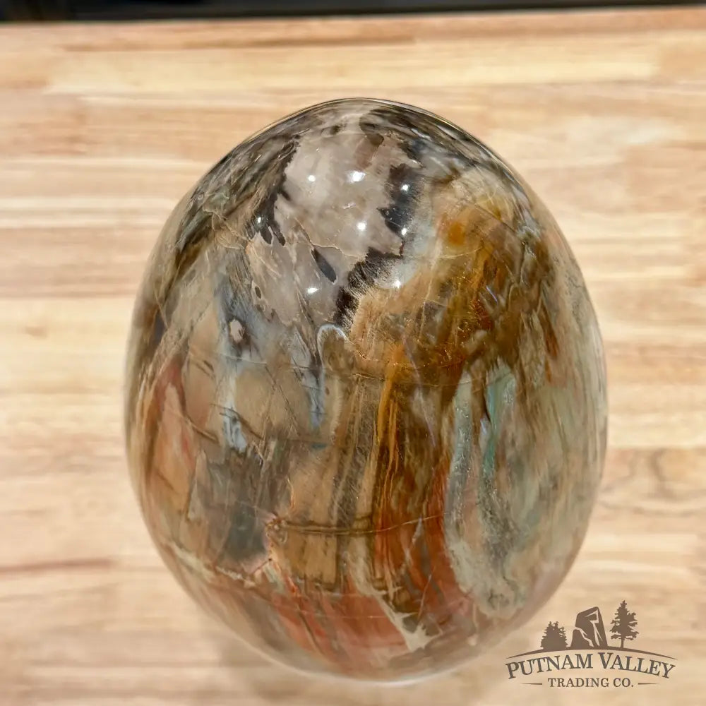 Reserve Madagascar Petrified Wood Egg 9.2’’ - Egg