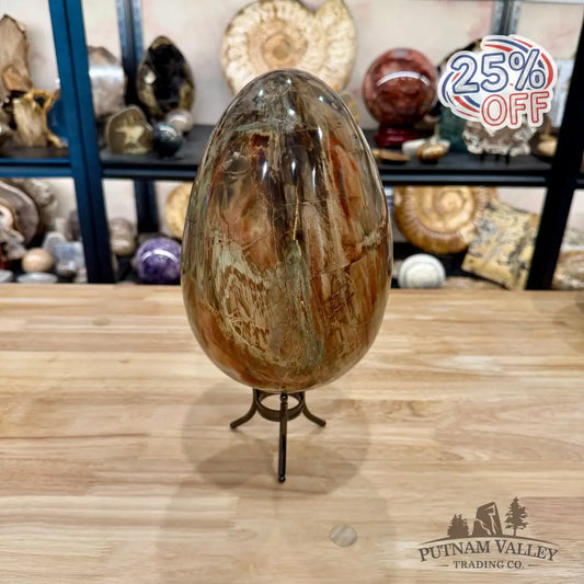 Reserve Madagascar Petrified Wood Egg 9.2’’ - Egg