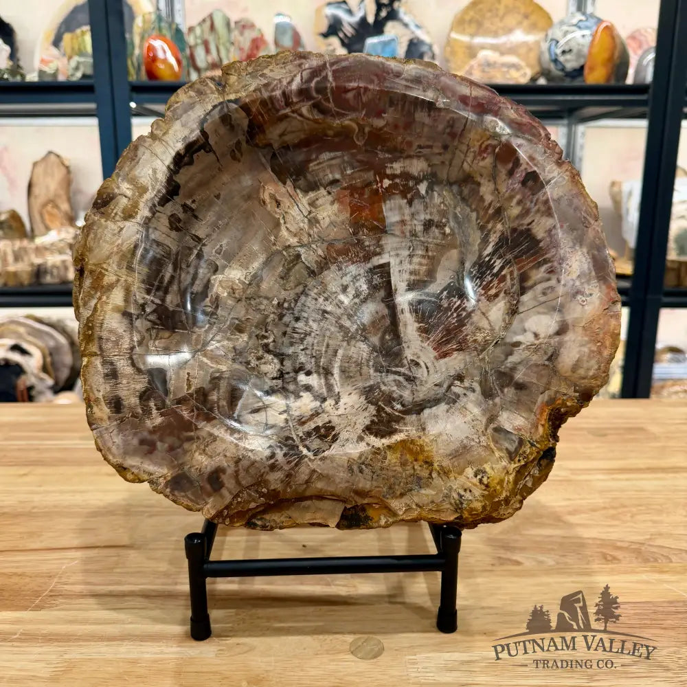 Petrified Wood Rustic Bowl 13.25’’ - Bowl