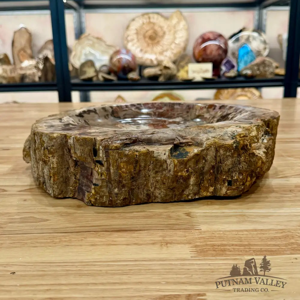 Petrified Wood Rustic Bowl 13.25’’ - Bowl