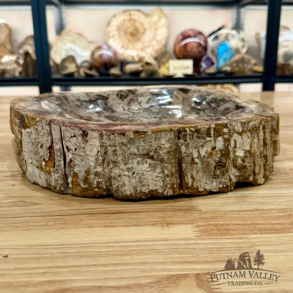 Petrified Wood Rustic Bowl 13.25’’ - Bowl