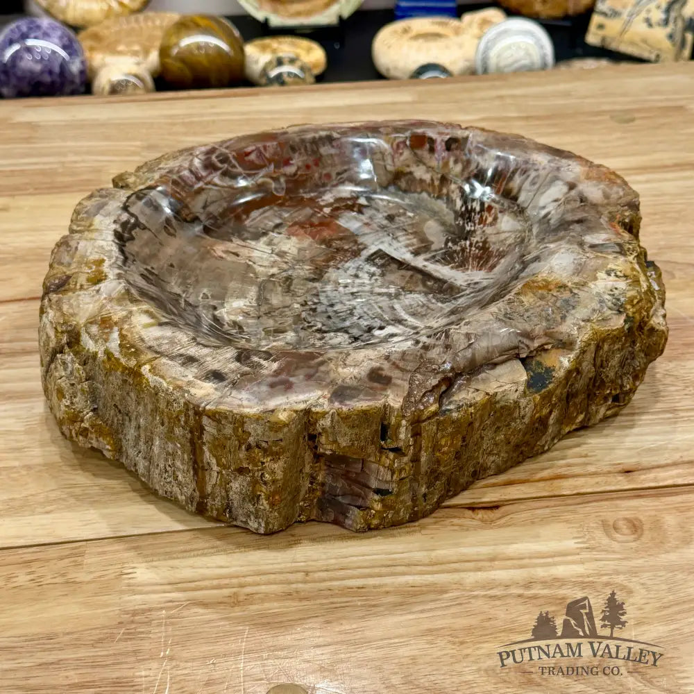 Petrified Wood Rustic Bowl 13.25’’ - Bowl