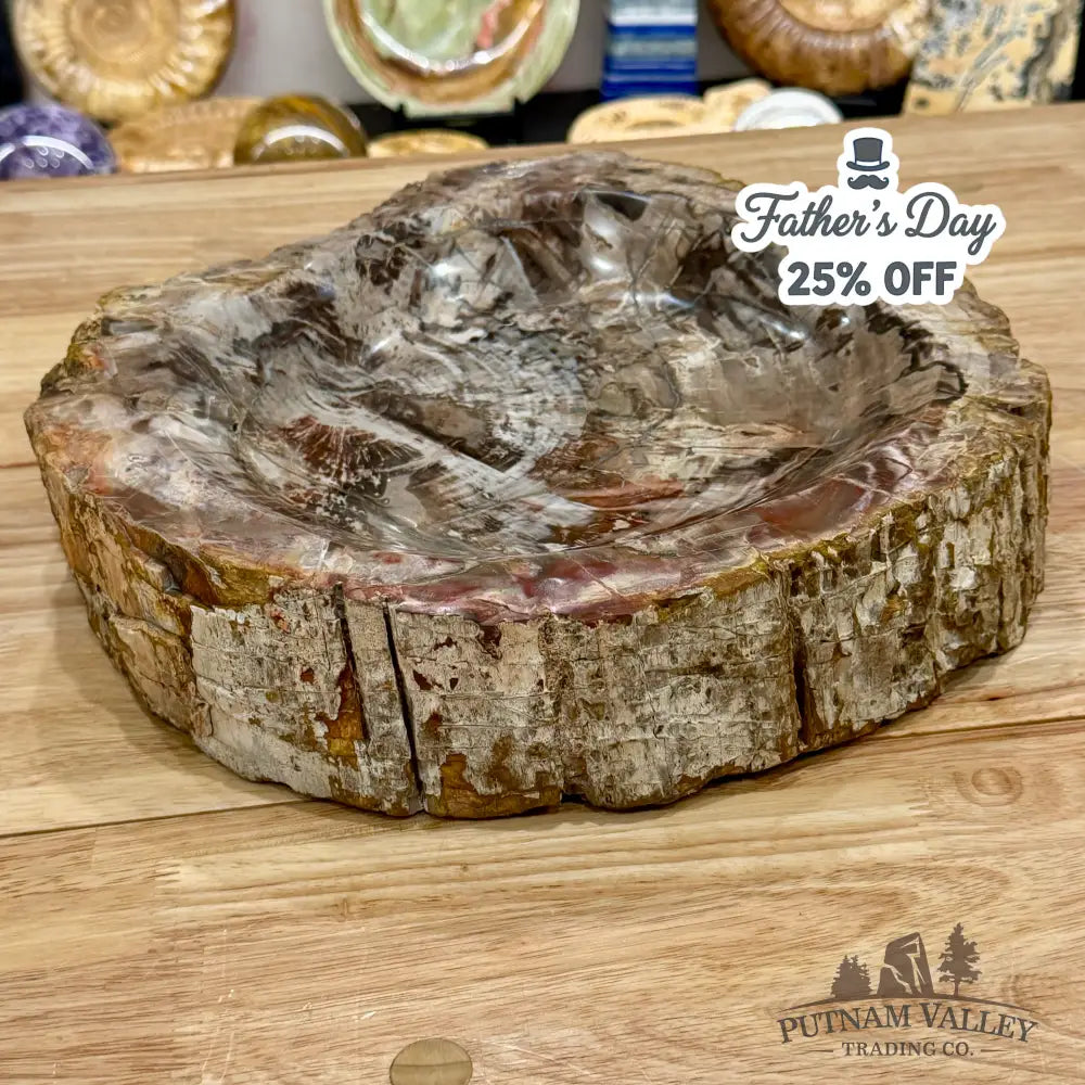 Petrified Wood Rustic Bowl 13.25’’ - Bowl