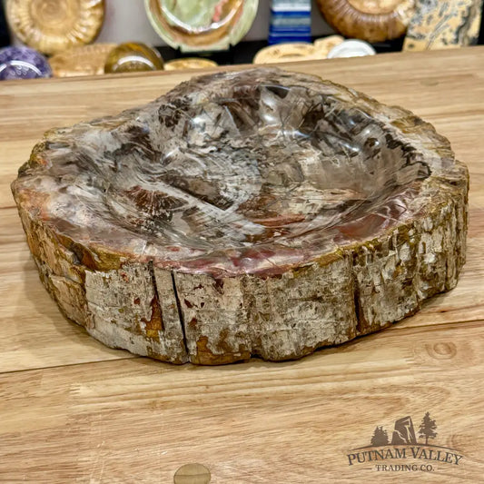 Petrified Wood Rustic Bowl 13.25’’ - Bowl