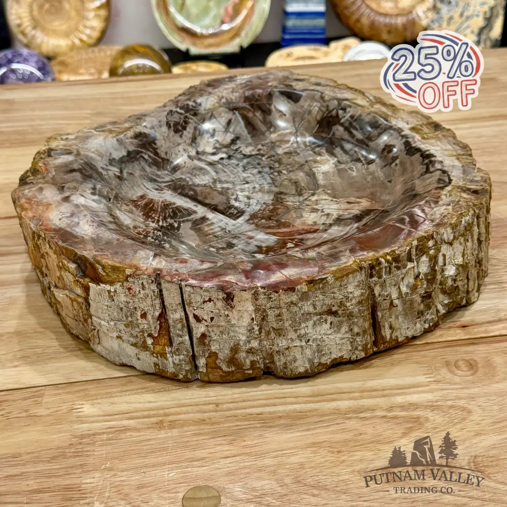 Petrified Wood Rustic Bowl 13.25’’ - Bowl