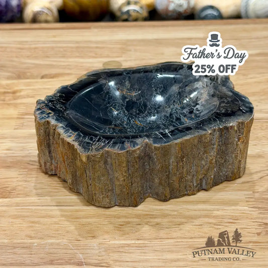 Reserve Madagascar Petrified Wood Rustic Bowl 6.1’’ - Bowl