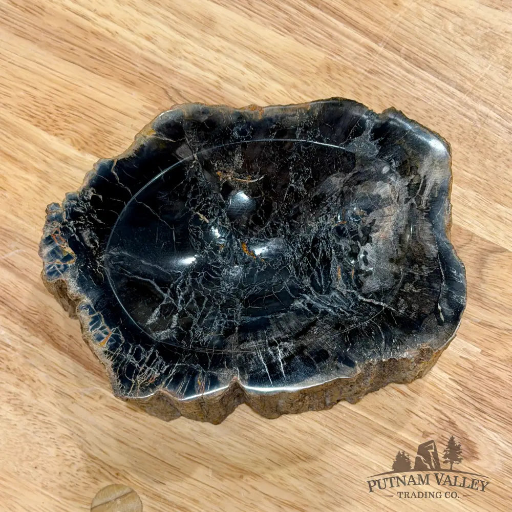 Reserve Madagascar Petrified Wood Rustic Bowl 6.1’’ - Bowl