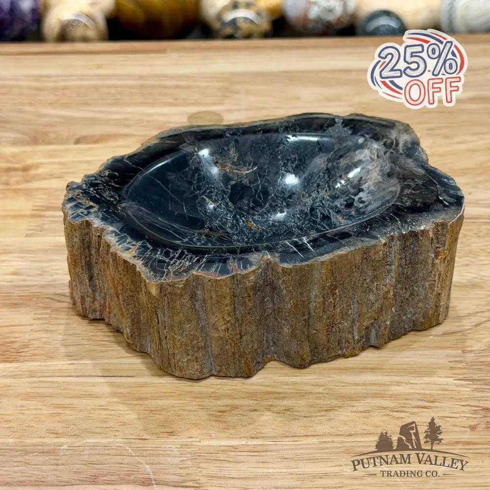 Reserve Madagascar Petrified Wood Rustic Bowl 6.1’’ - Bowl