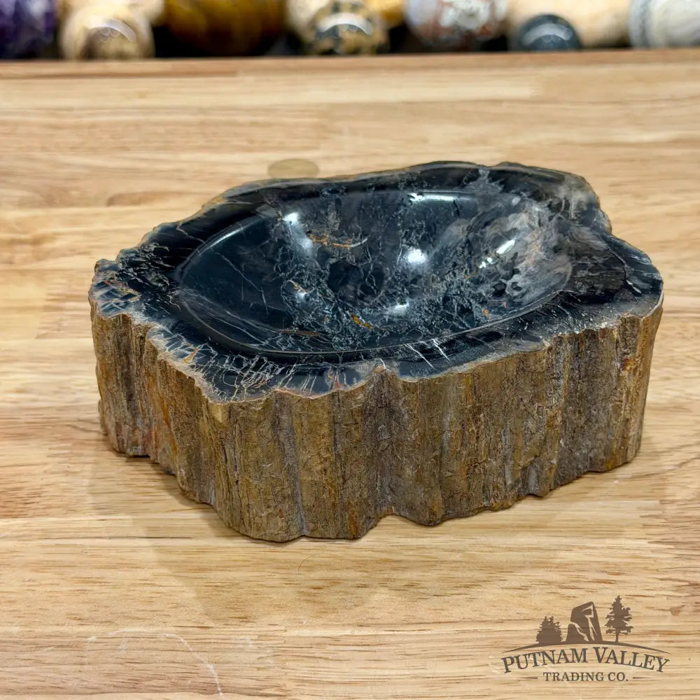 Reserve Madagascar Petrified Wood Rustic Bowl 6.1’’ - Bowl