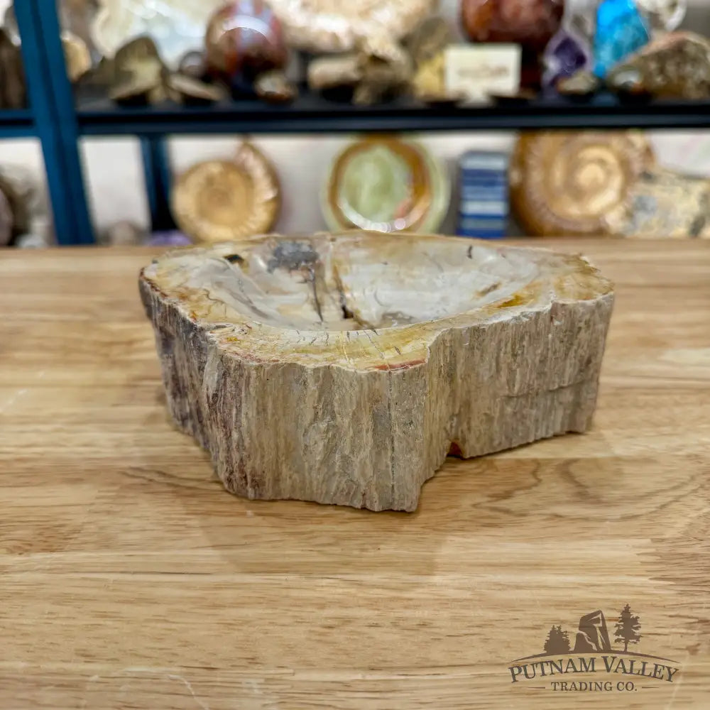 Reserve Madagascar Petrified Wood Rustic Bowl 6.5’’ - Bowl