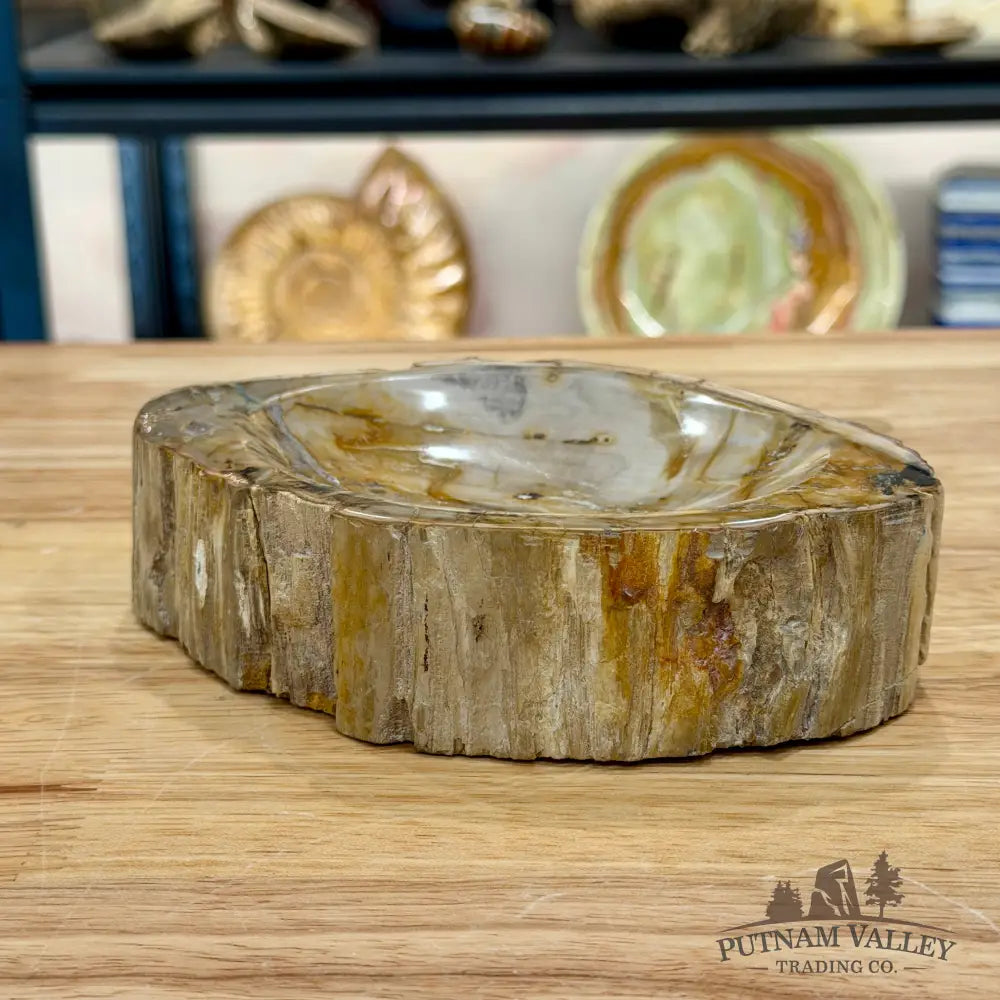 Reserve Madagascar Petrified Wood Rustic Bowl 6.5’’ - Bowl