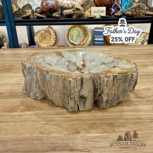 Reserve Madagascar Petrified Wood Rustic Bowl 6.5’’ - Bowl