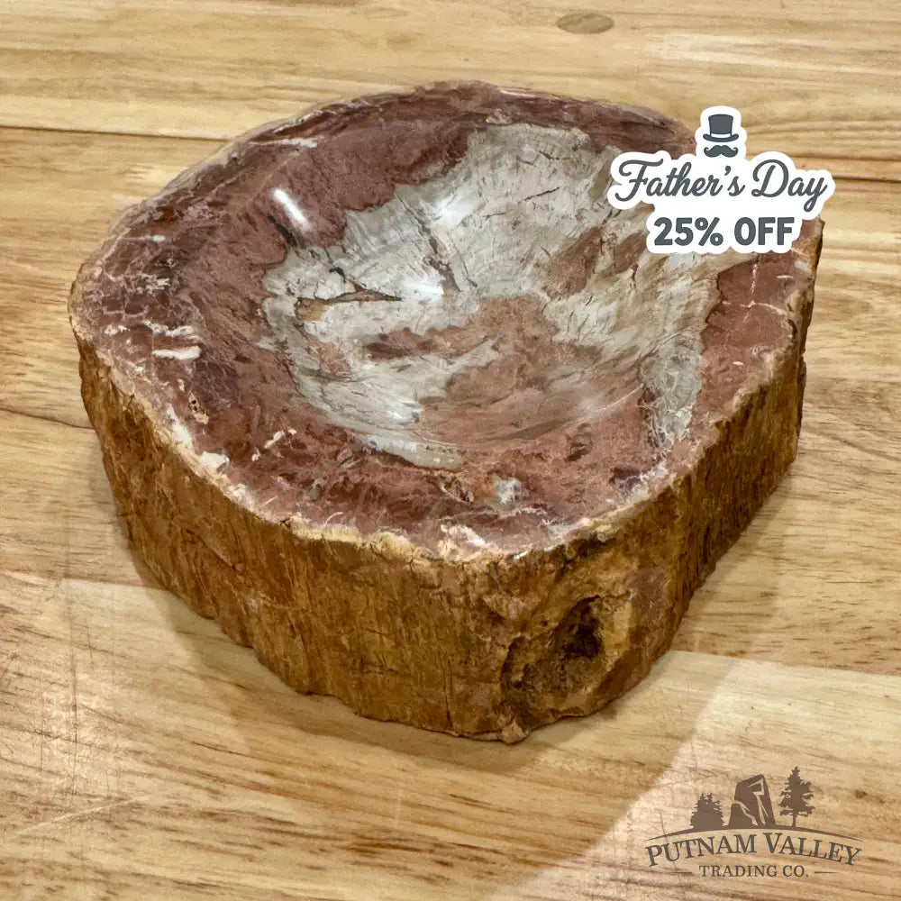 Reserve Madagascar Petrified Wood Rustic Bowl 6.5’’ Bowl