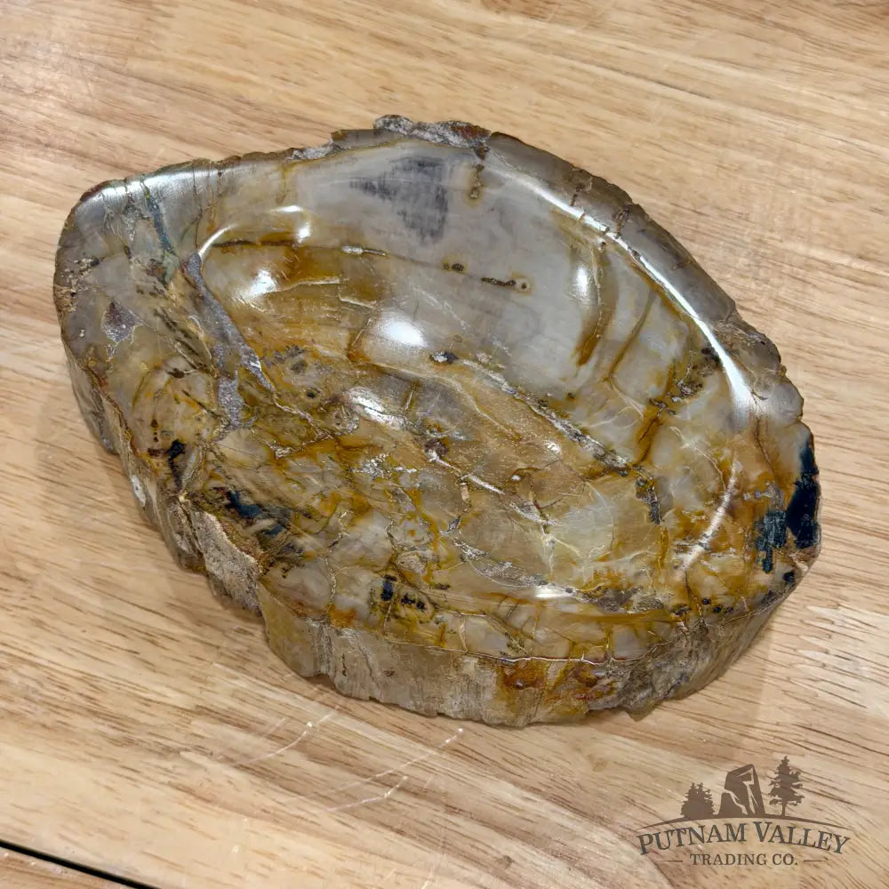 Reserve Madagascar Petrified Wood Rustic Bowl 6.5’’ - Bowl
