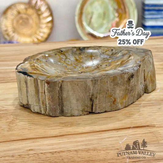 Reserve Madagascar Petrified Wood Rustic Bowl 6.5’’ - Bowl
