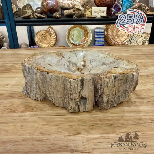 Reserve Madagascar Petrified Wood Rustic Bowl 6.5’’ - Bowl
