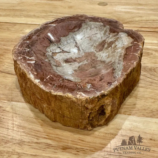 Reserve Madagascar Petrified Wood Rustic Bowl 6.5’’ Bowl