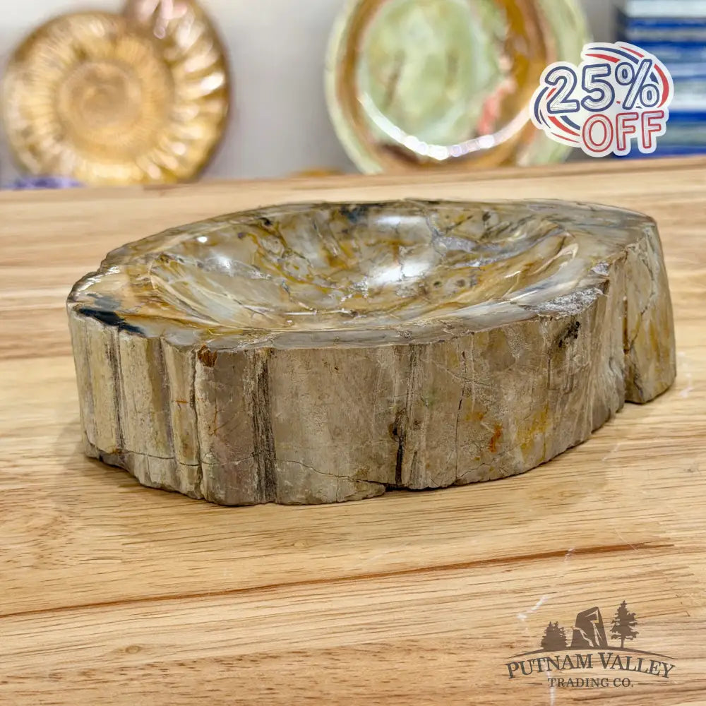 Reserve Madagascar Petrified Wood Rustic Bowl 6.5’’ - Bowl
